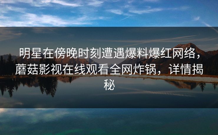 明星在傍晚时刻遭遇爆料爆红网络，蘑菇影视在线观看全网炸锅，详情揭秘